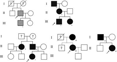 Clinical characteristics of familial dysalbuminemic hyperthyroxinemia in Chinese patients and comparison of free thyroxine in three immunoassay methods